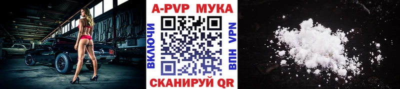 Alfa_PVP СК Мыски