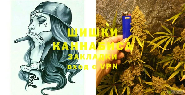 мдпв Богородск