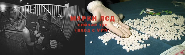 мдпв Богородск