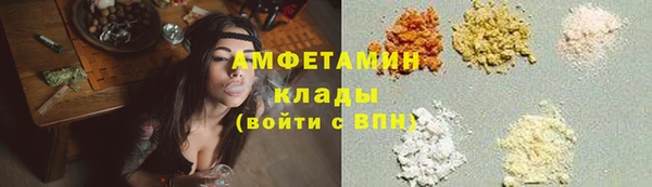 мдпв Богородск