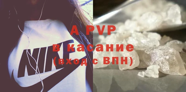 spice Богородицк