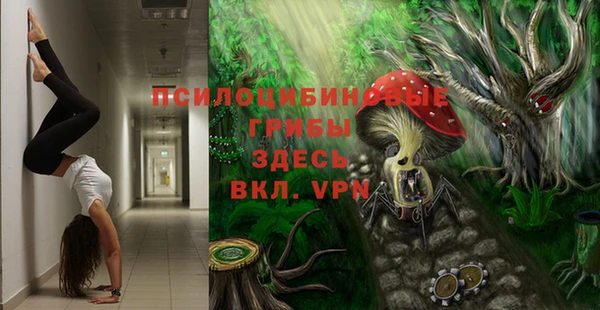 spice Богородицк