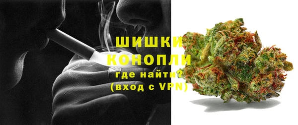 spice Богородицк