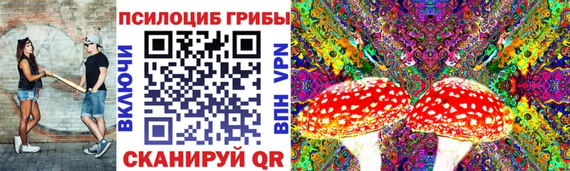 купить наркотики сайты  Мыски  Псилоцибиновые грибы MAGIC MUSHROOMS 